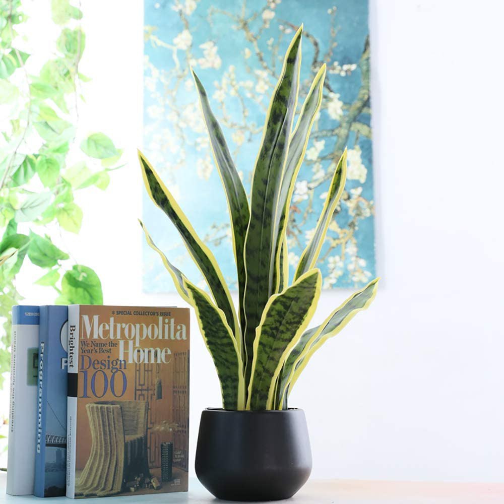 Artificial Snake Plant: image 8
