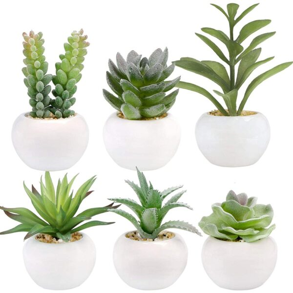 artificial succulent plants